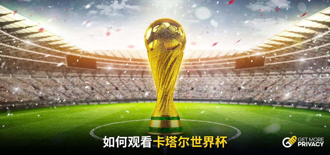 弗格森的案